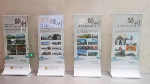 大哉乾元——滕州館藏精品全國(guó)巡展江蘇太倉(cāng)站啟幕，同期開展藝術(shù)舞蹈輔導(dǎo)服務(wù)